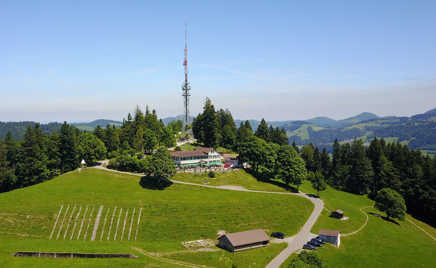 Bachtel im Spätsommer (Bild: Archiv)