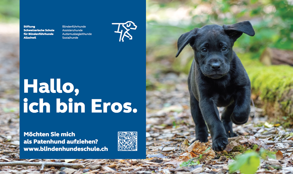 Stiftung Schweizerische Schule für Blindenführhunde