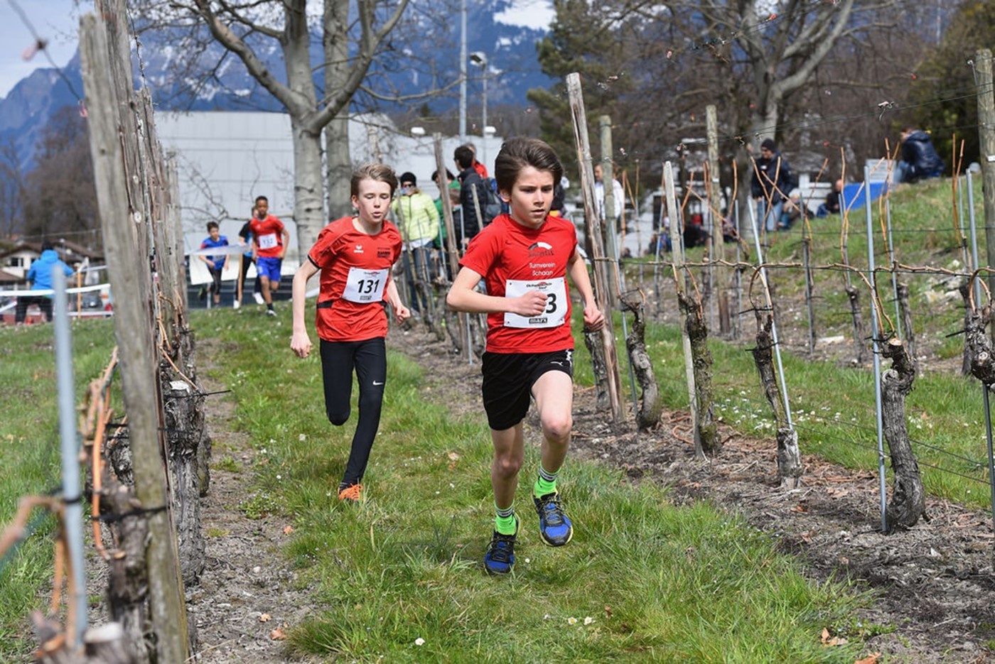 Junges Gemüse, alte Reben (Bild: zVg)