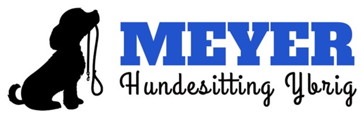 Hundesitting Ybrig (1)