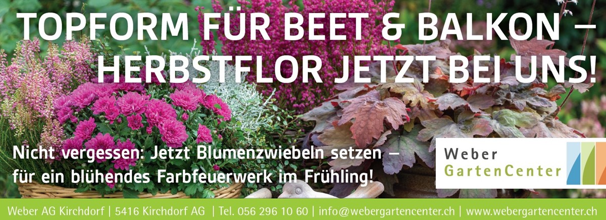 Weber AG Kirchdorf