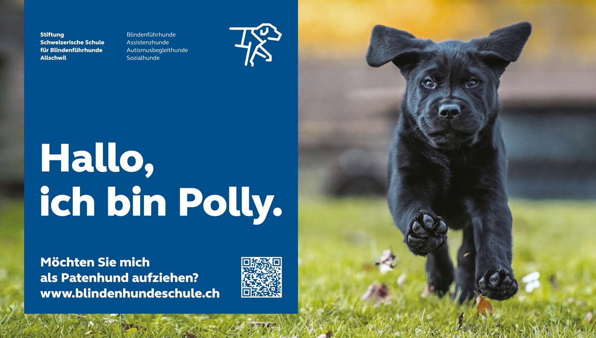 Stiftung Schweizerische Schule für Blindenführhunde