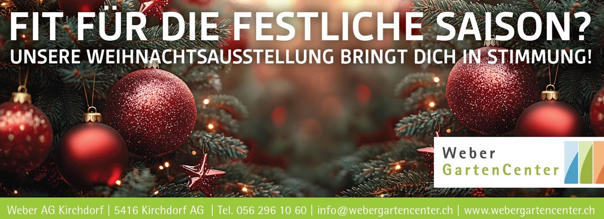 Weber AG Kirchdorf (1)