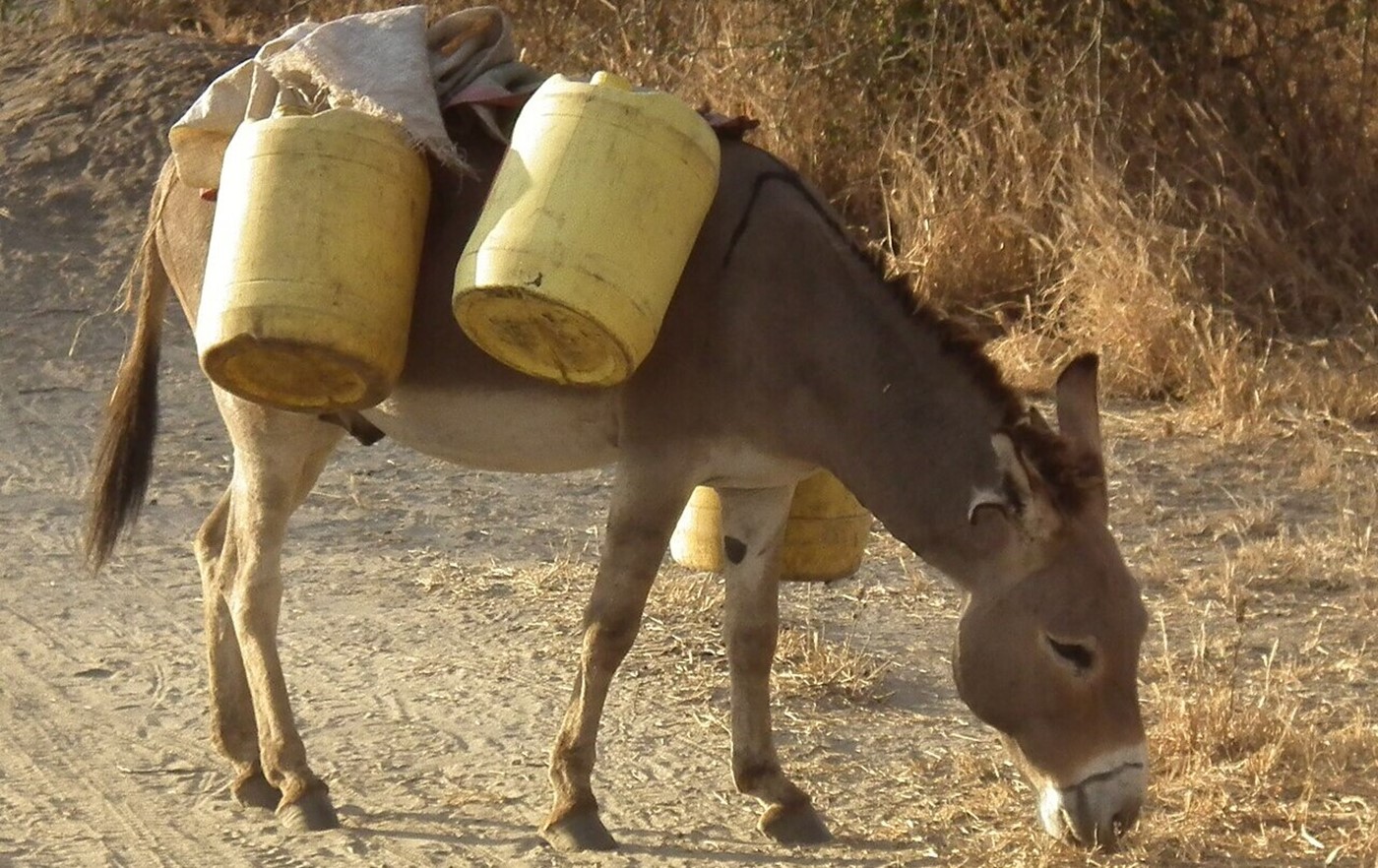 Glühwein im Tank? (Bild: Wikipedia)