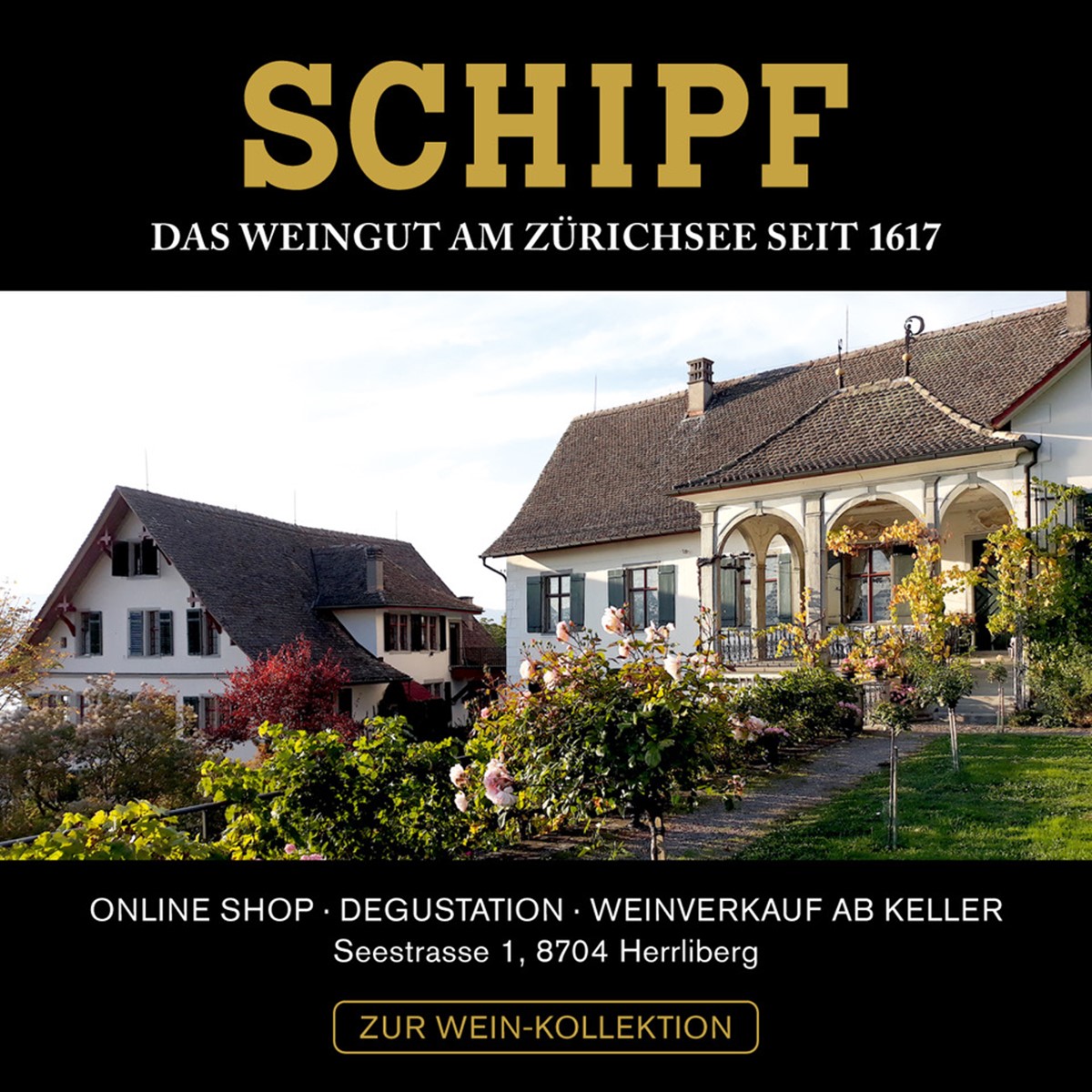 Weingut Schipf (1) (1)