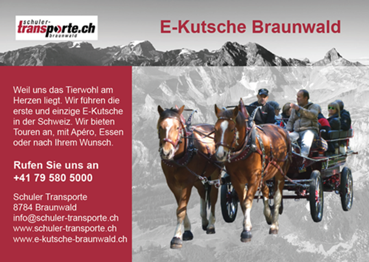 schuler-transporte.ch GmbH