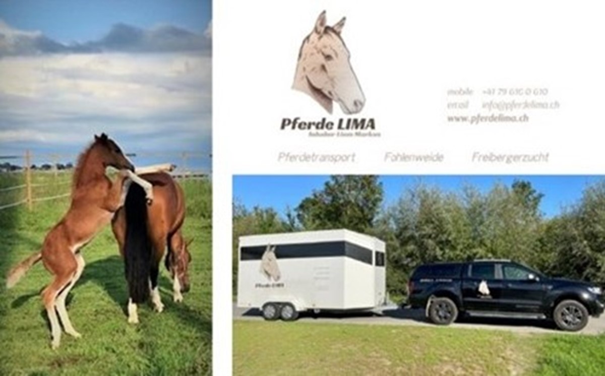 Pferde LIMA