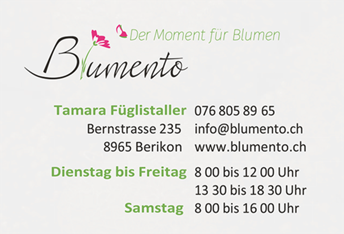 Blumento GmbH