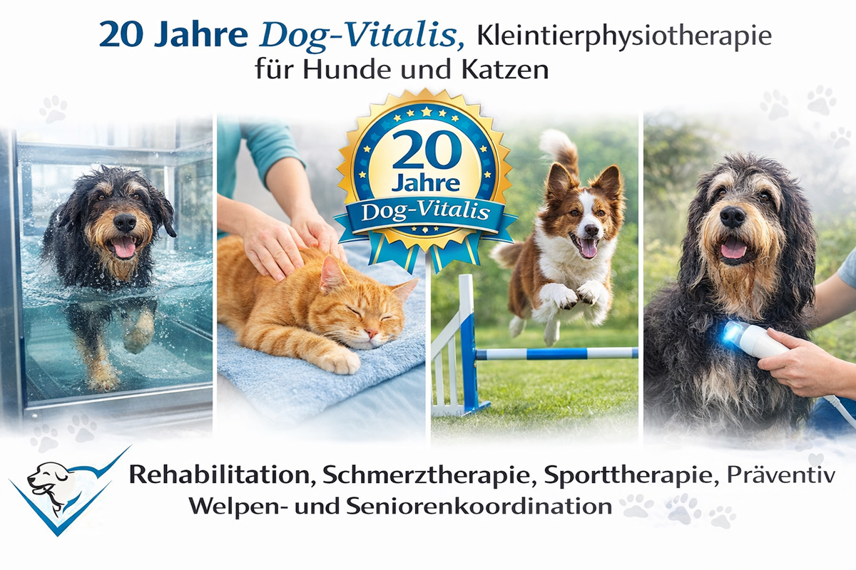 Dog-Vitalis (1) (1)
