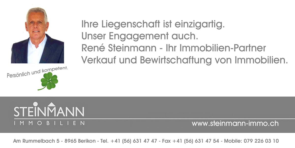 Steinmann Immobilien